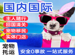 西双版纳嘎洒航空快运国际宠物托运 【国